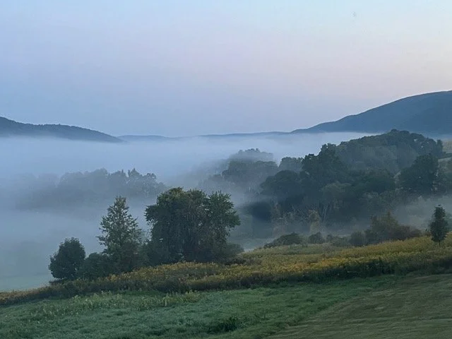 The Collective Current