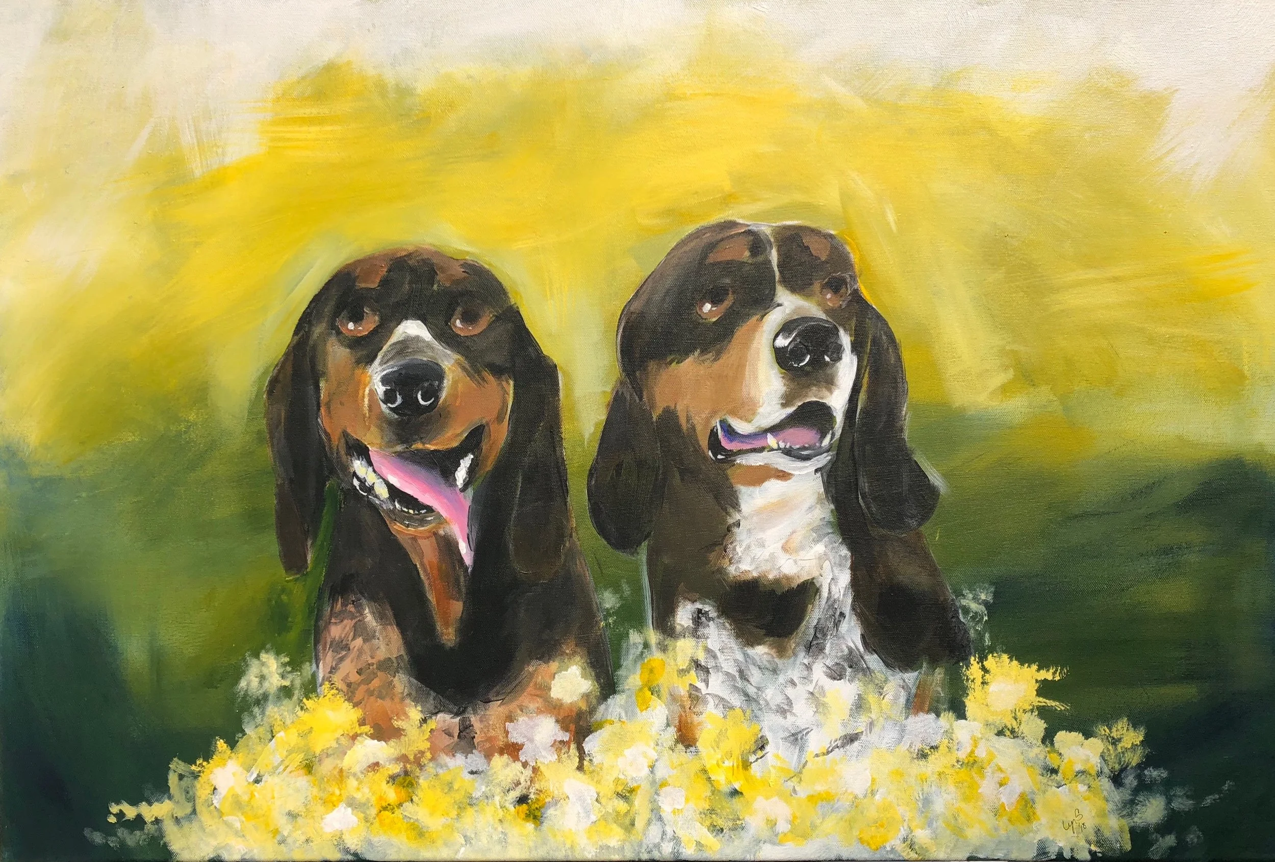 Smokey & Banjo