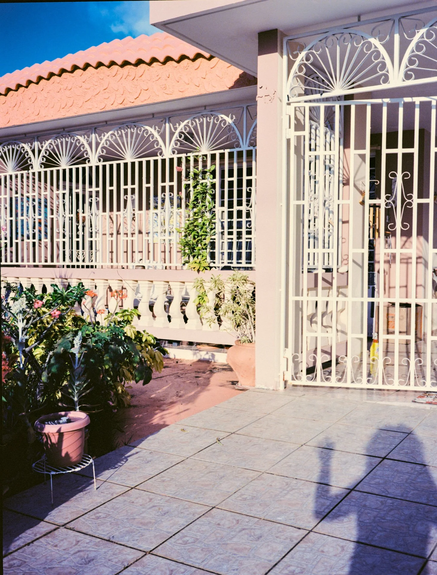 ARI007 1.jpg