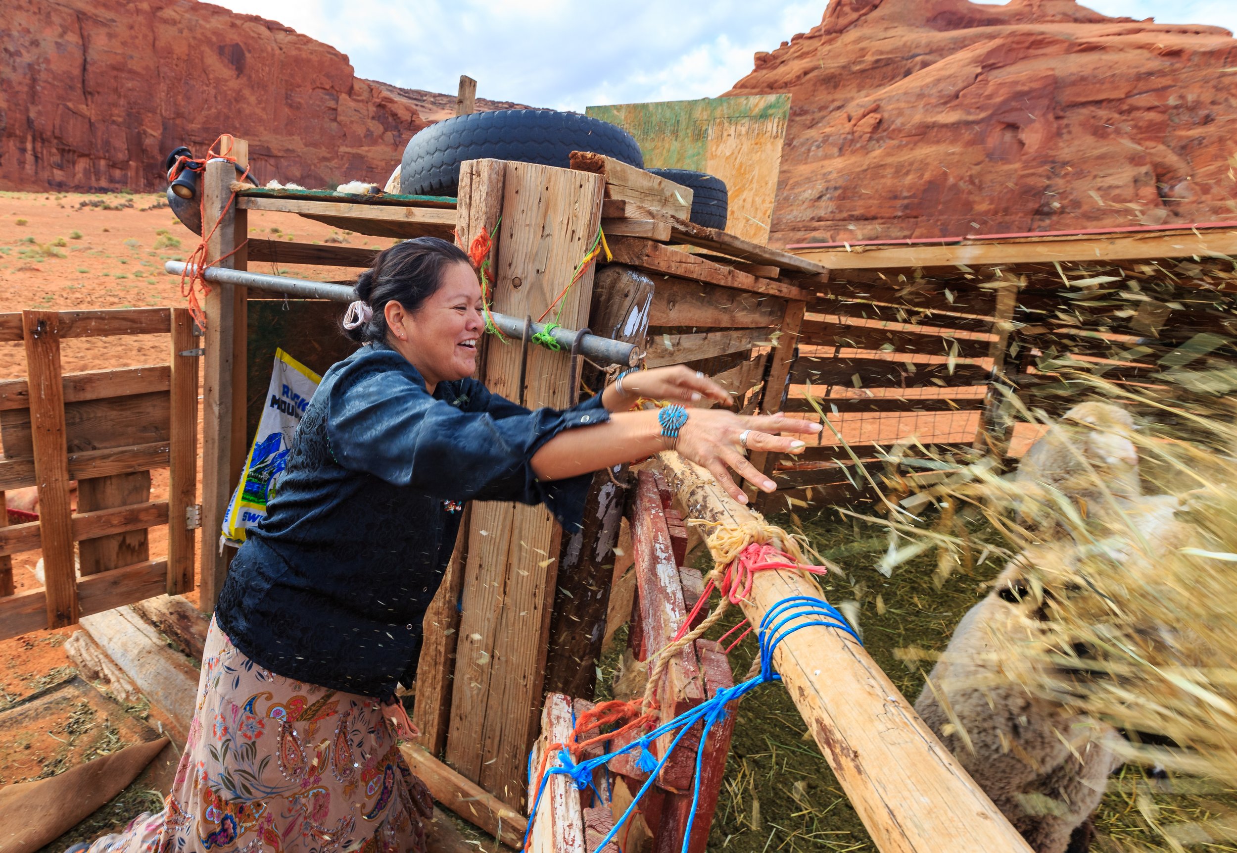  Alvina Yazzie who stays with her mother to help with the animals feeds the sheep in the morning 