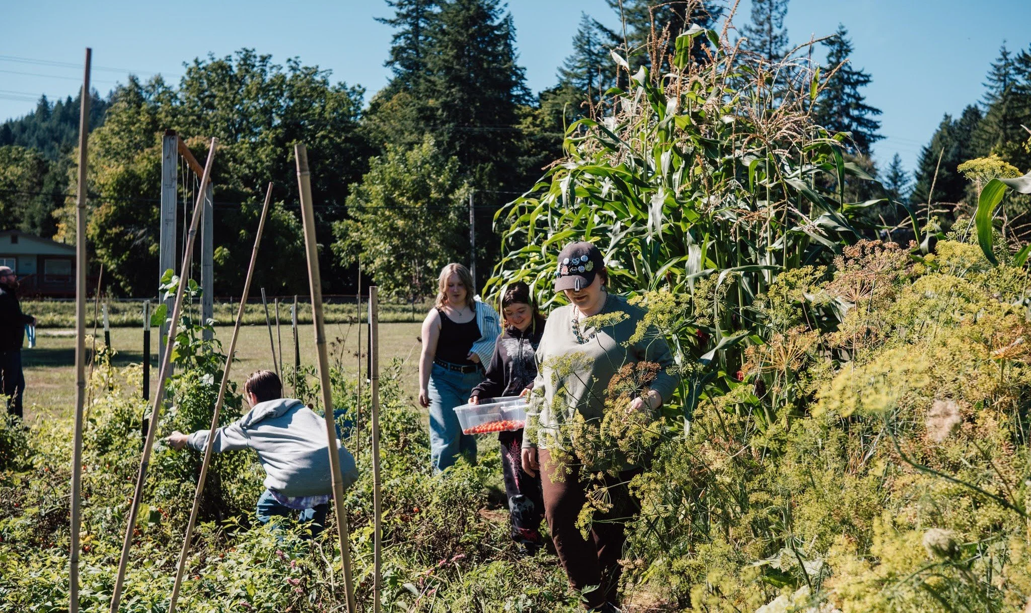 United Way Impacts: Creating Immediate and Long-Term Solutions to Food Insecurity