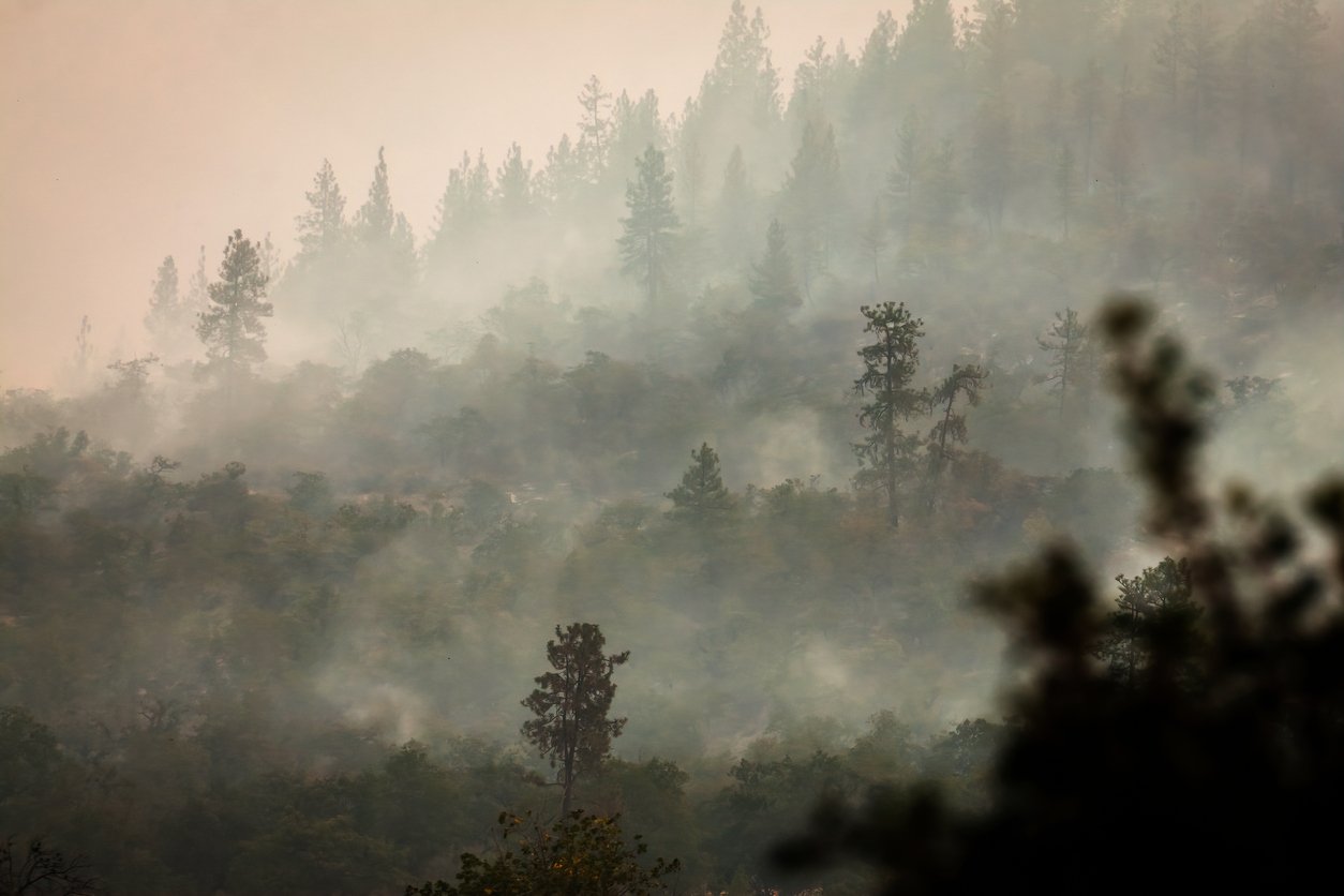It's hot and smoky out there! 🥵 Stay safe on hot days and follow these quick tips:
- Stay hydrated and drink plenty of water.
- Stay indoors whenever possible.
- If you must work outside, do so in the early morning or late evening to avoid the hotte