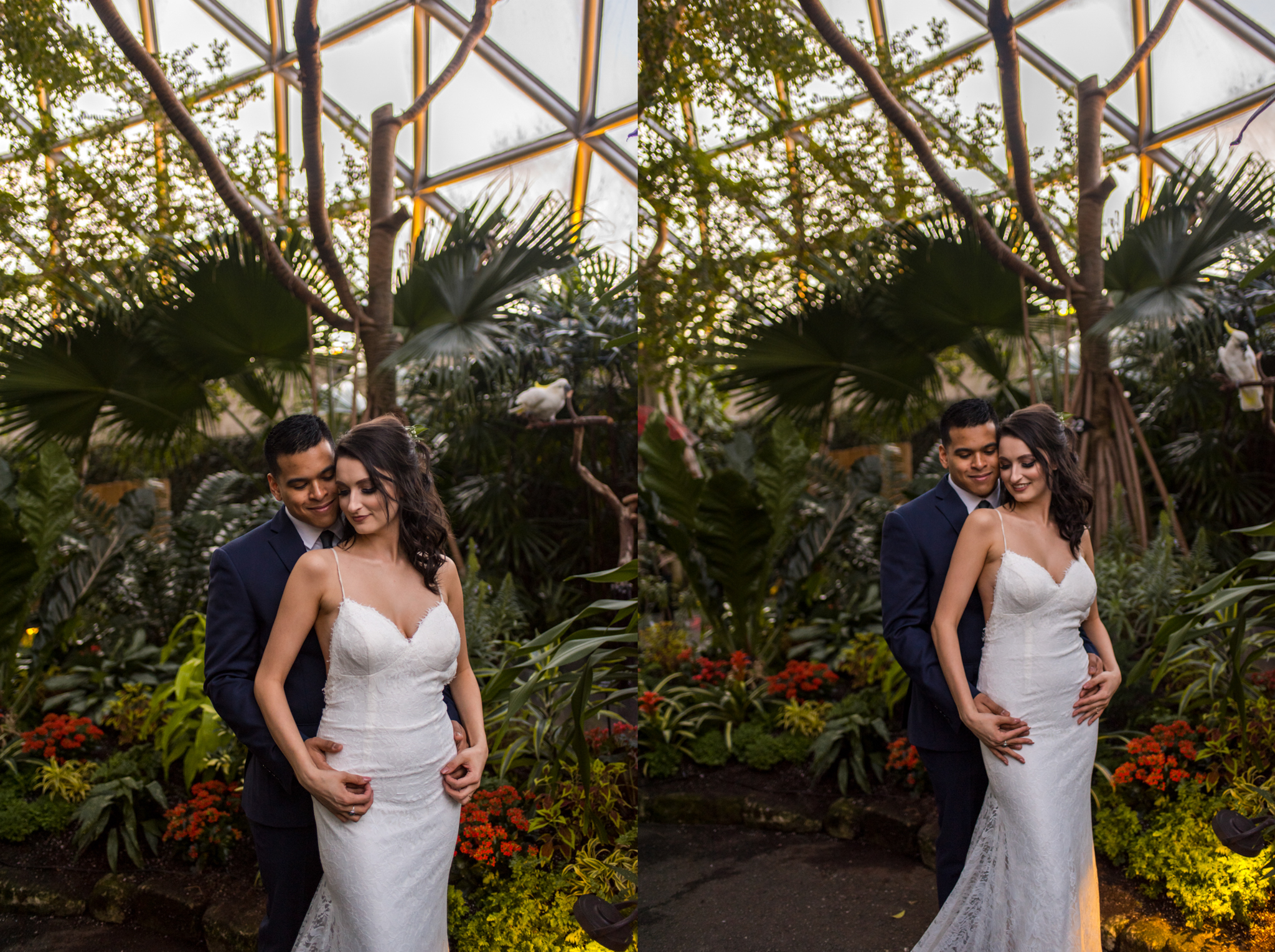 Bride and Groom embrace in Bloedel Conservatory at Queen Elizabeth Park in Vancouver BC