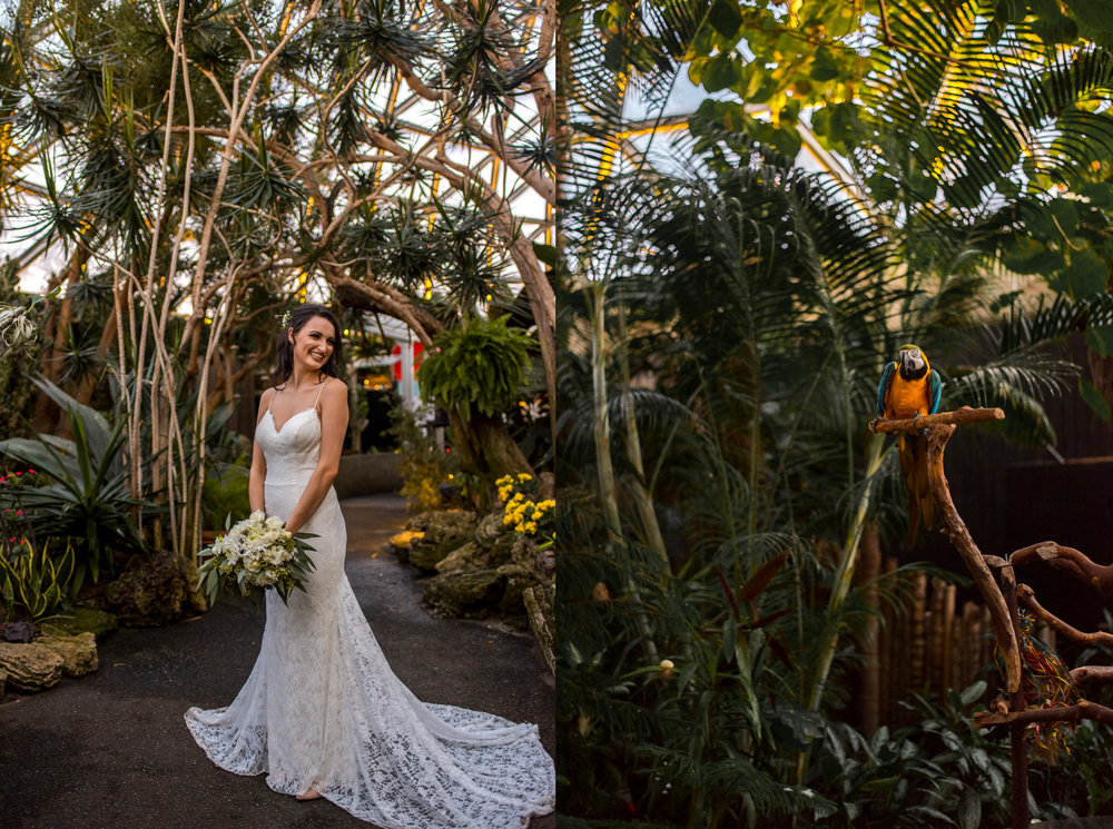 Bride in Bloedel Conservatory in Vancouver BC