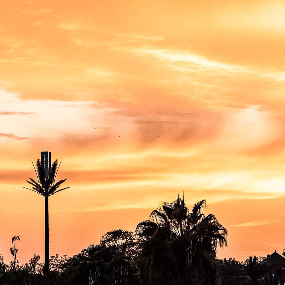 Humberto_tan_sunrise_palmtrees.jpeg