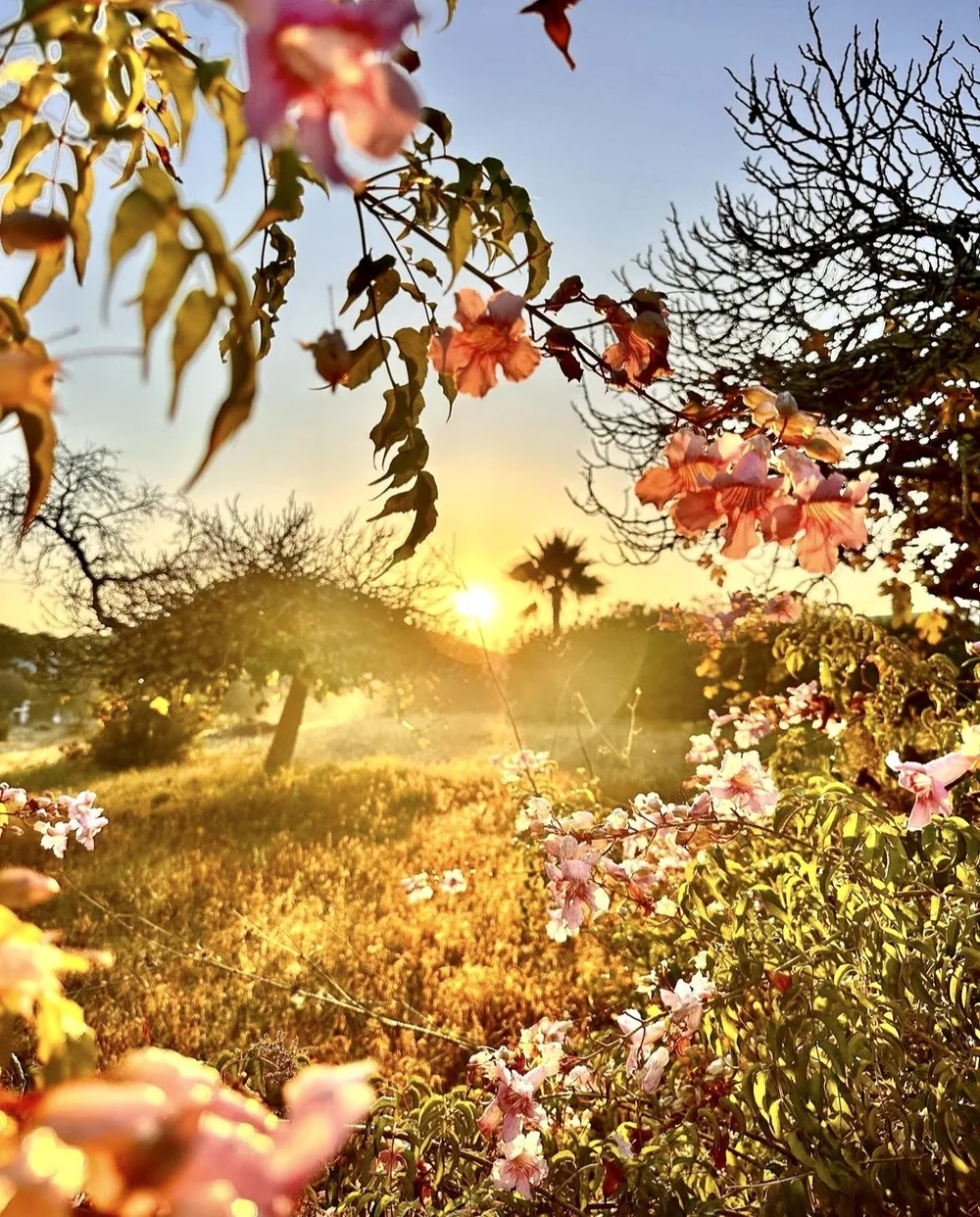 Ibiza by Ferry Loeve