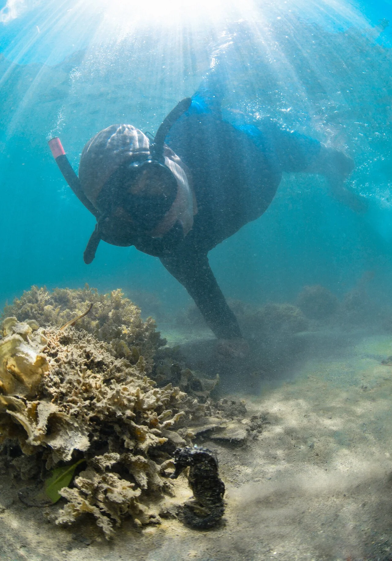 Rick Bonnier _ Bearleader Four Seasons MauritiusMAS_1179.jpg