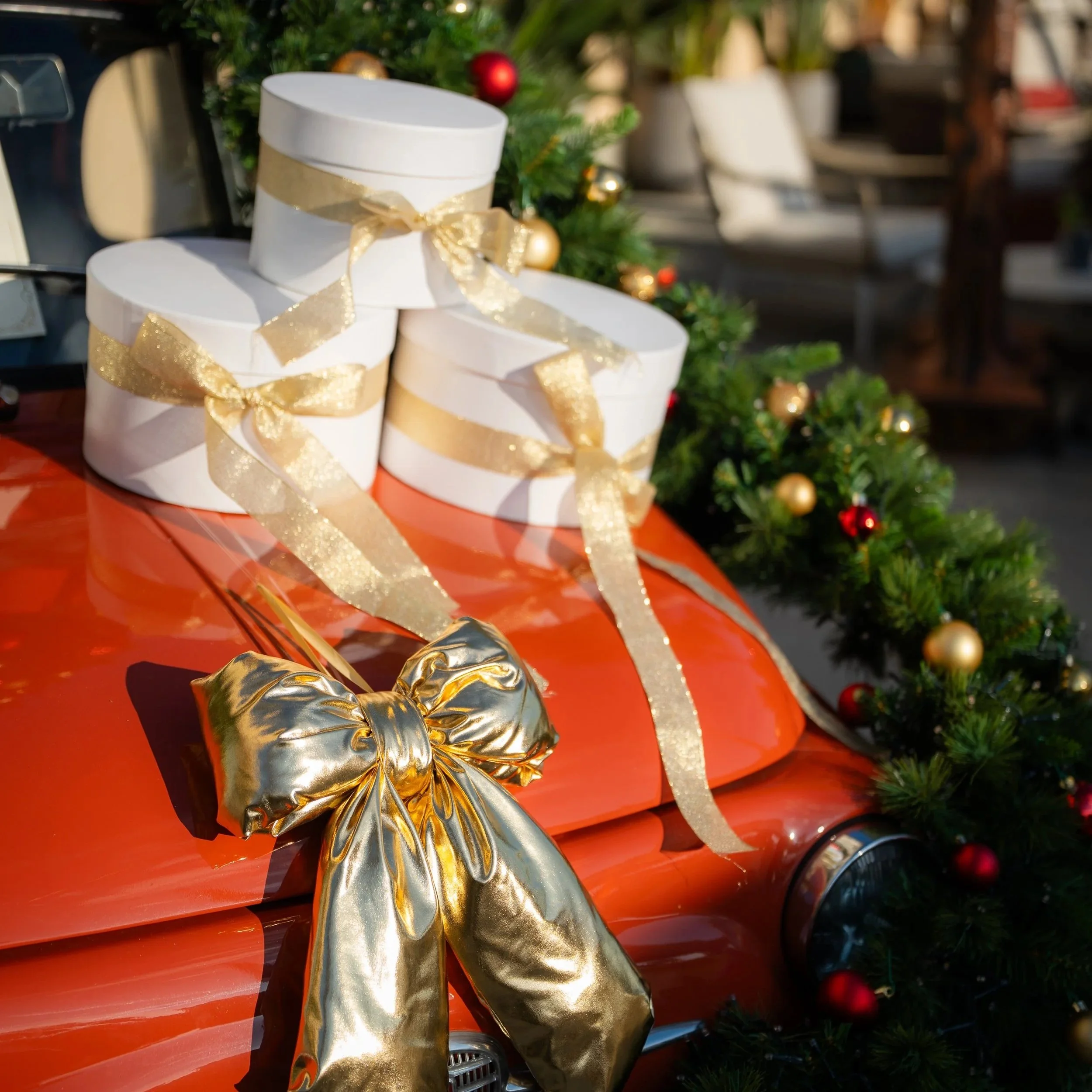 DESTINATION GUIDES WITH TIPS BY THE BEARLEADERS