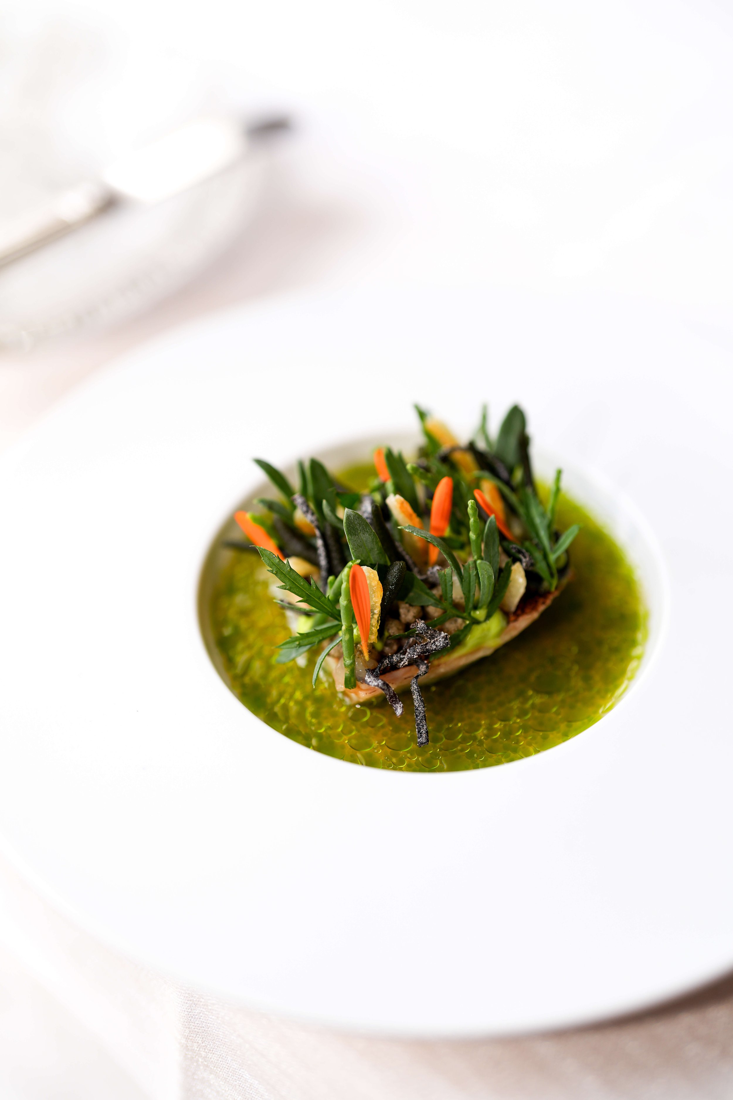 Bearleaders De Lindenhof GiethoornDSC05022.JPG