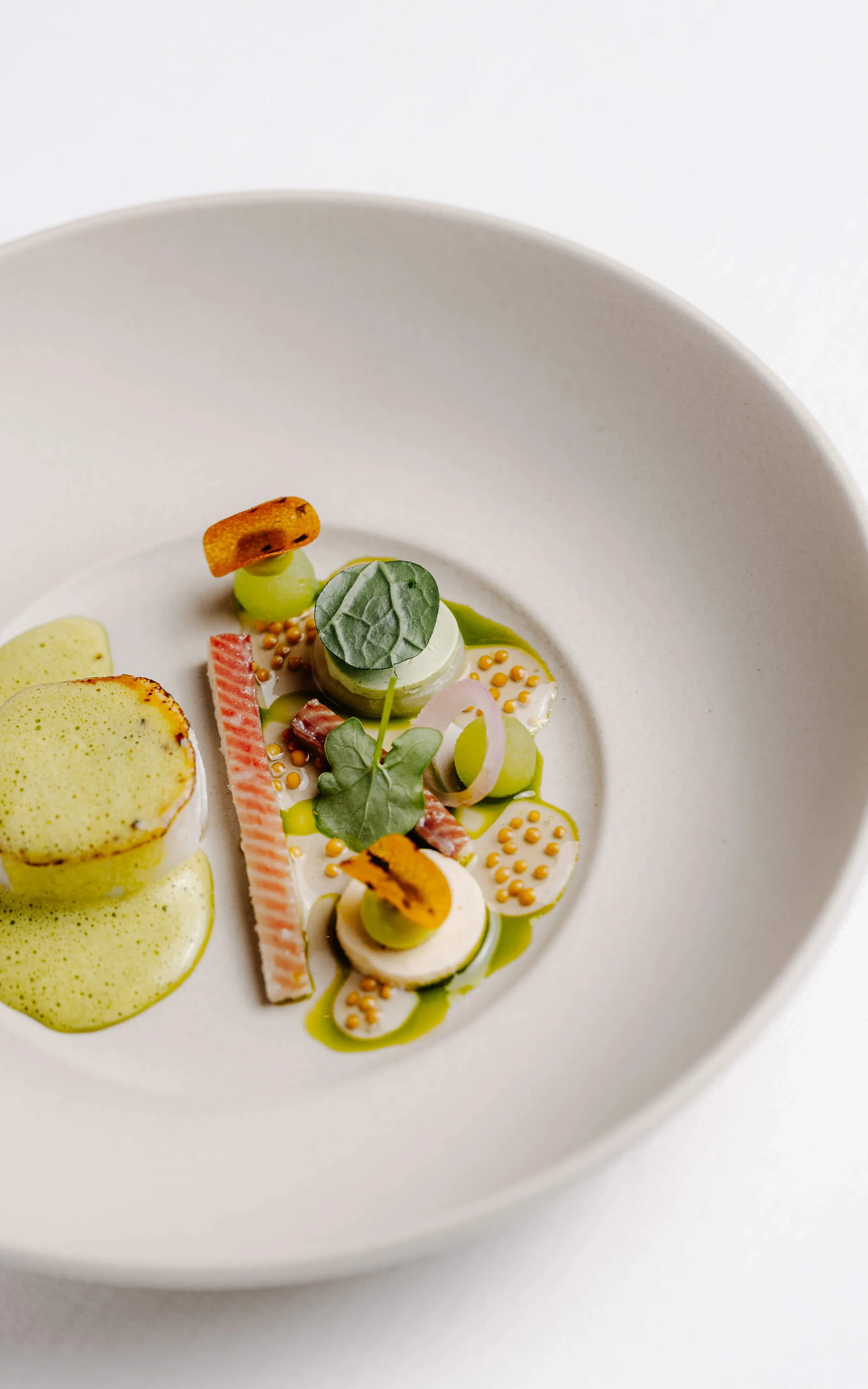 Bearleader in Food Dick Middelweerd De TreeswijkhoeveLDDK-20241212-0008.jpg