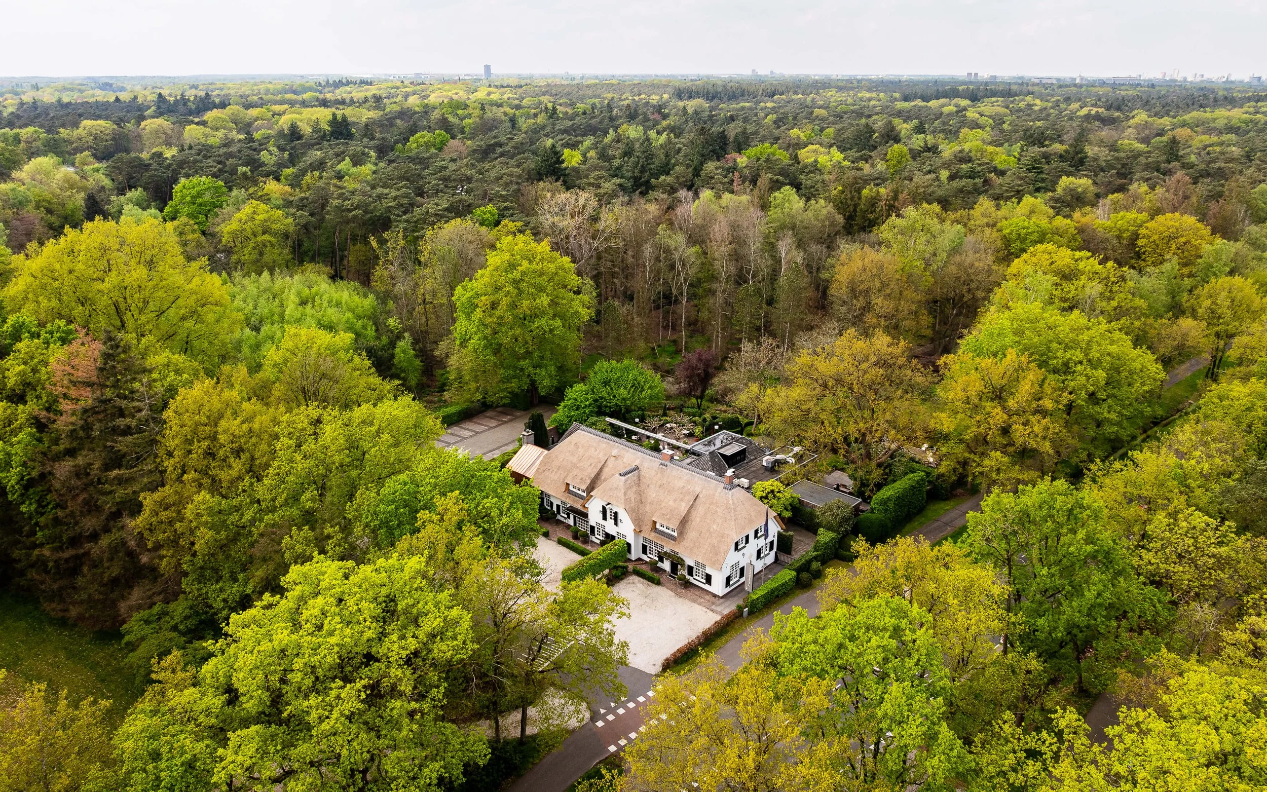 Bearleader in Food Dick Middelweerd De TreeswijkhoeveLDDK-20250422-0002.jpg