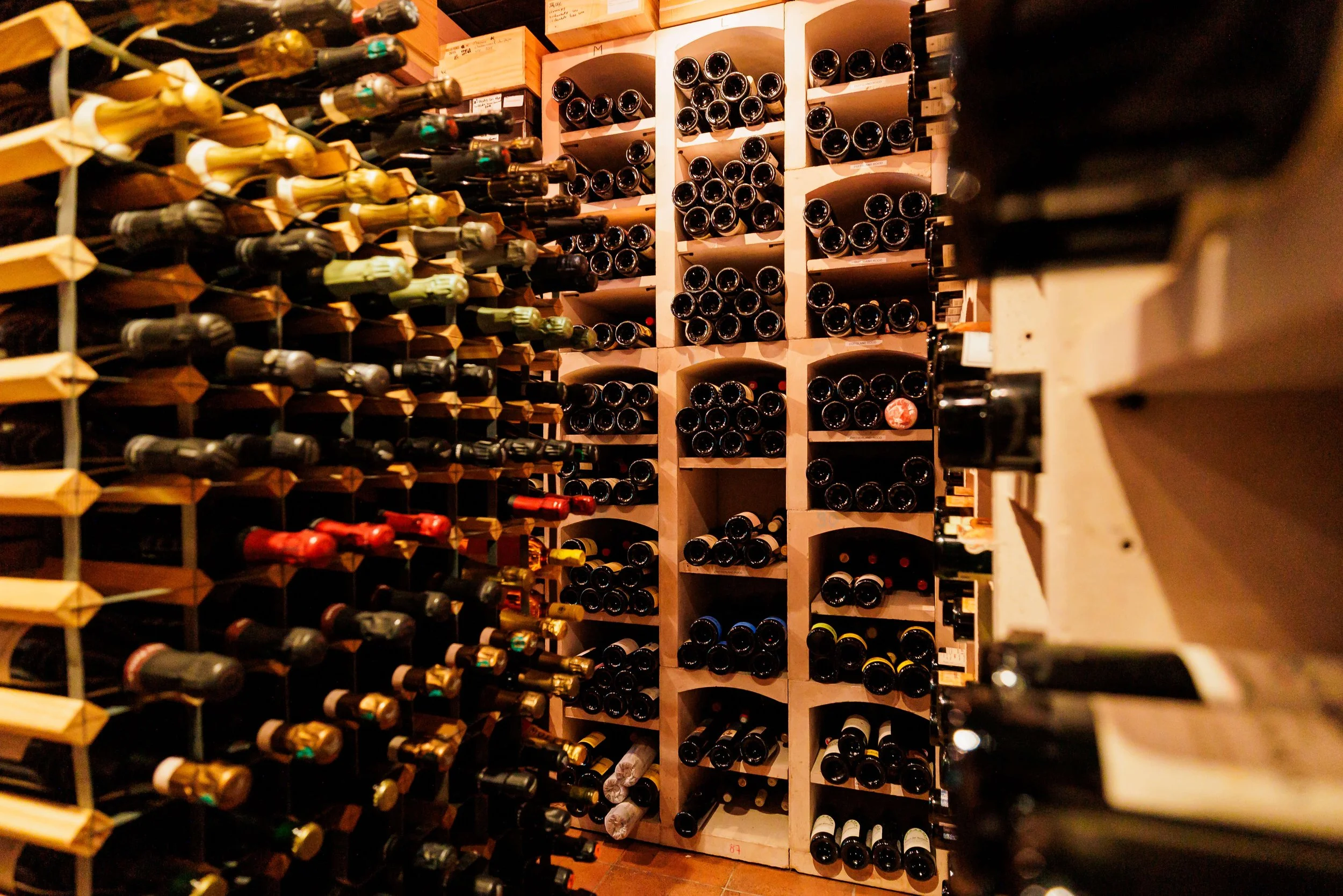 Bearleader in Food Dick Middelweerd De TreeswijkhoeveSPARK_20240711_154451_TREESWIJKHOEVE_DV_4164.jpg