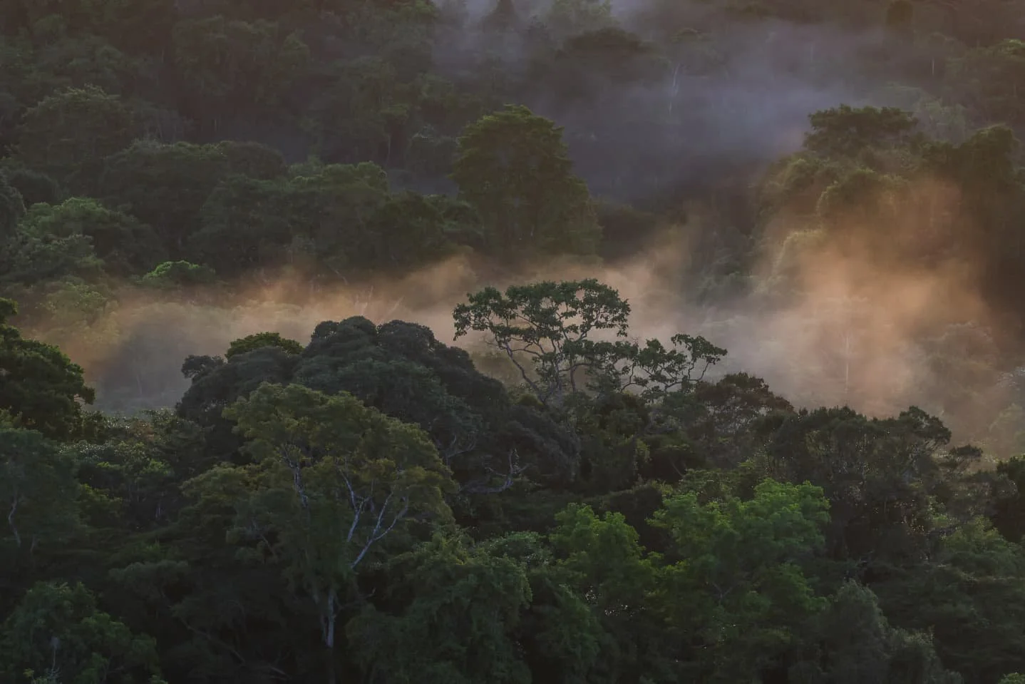 DESTINATION GUIDES WITH TRAVEL TIPS BY THE BEARLEADERS