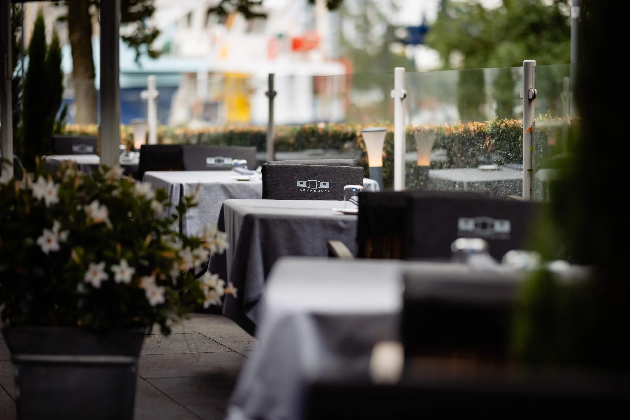 Insider Restaurants &amp; Bars | Rotterdam