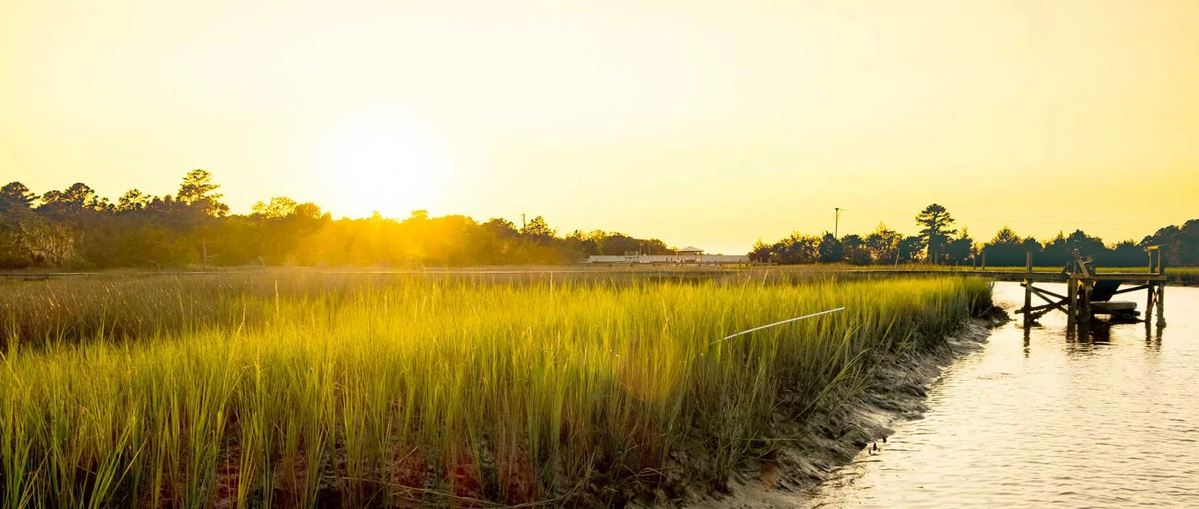 ROC Dental Group, Hilton Head Dentist Family & Cosmetic Dentistry