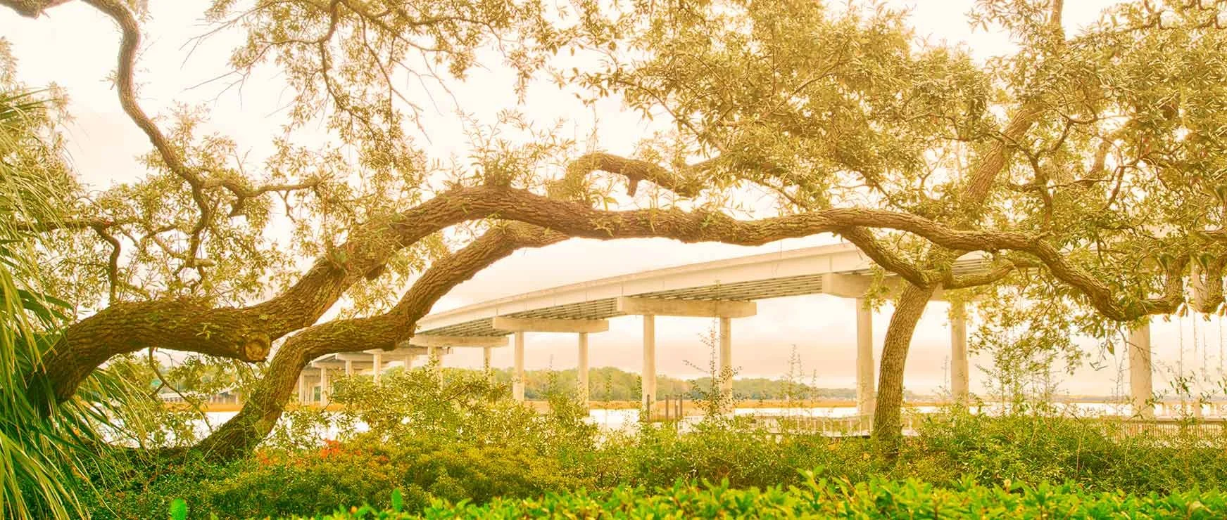 Bluffton Dental Office — ROC Dental Group Hilton Head & Bluffton