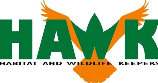 HAWK Meeting:  Oh Deer!