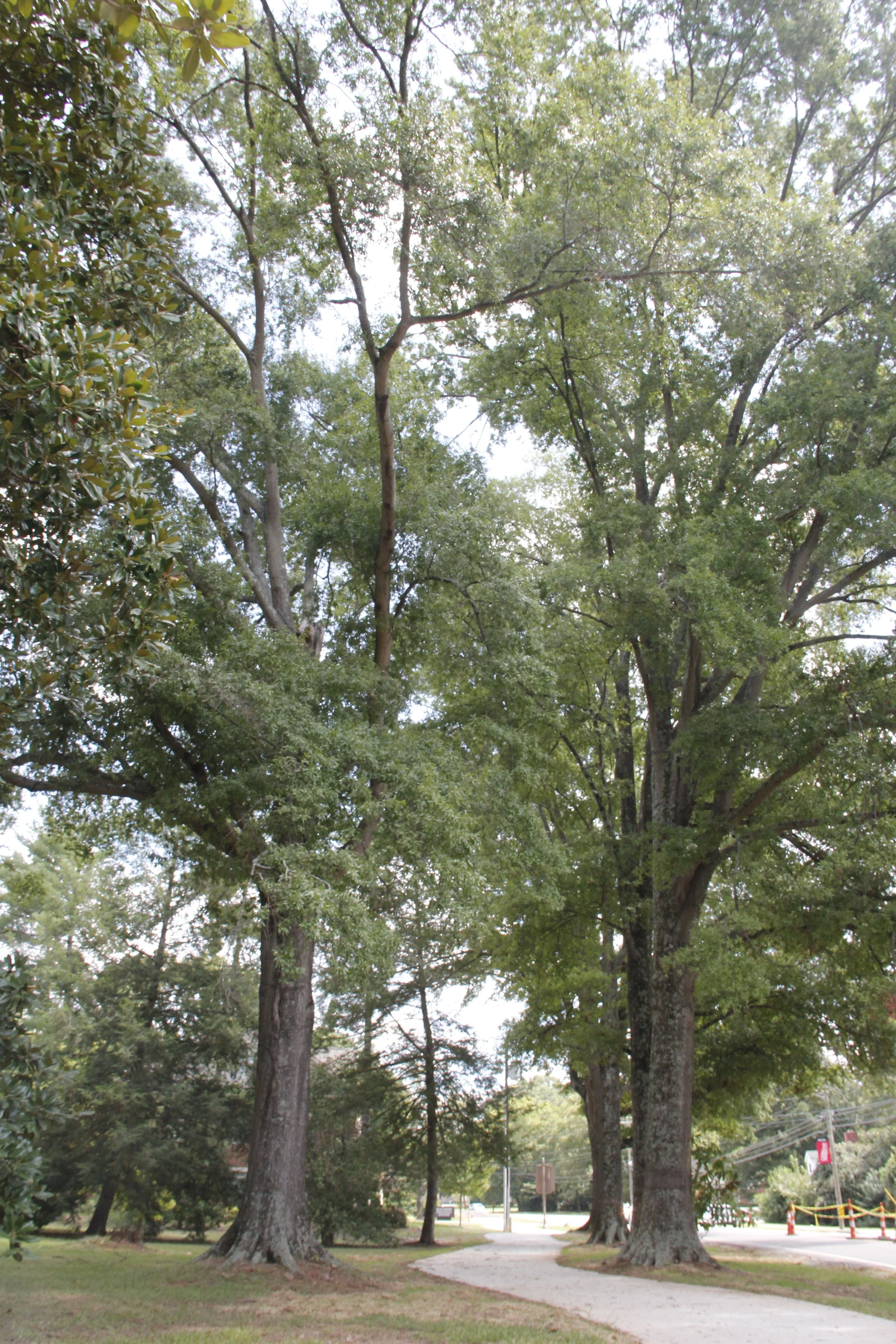 September 10 Board of Commissioners Meeting