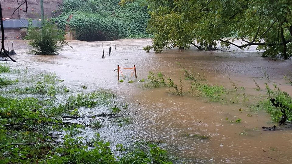 The culvert under Trade Street, Sunday Morning. Photo by Amanda Earley