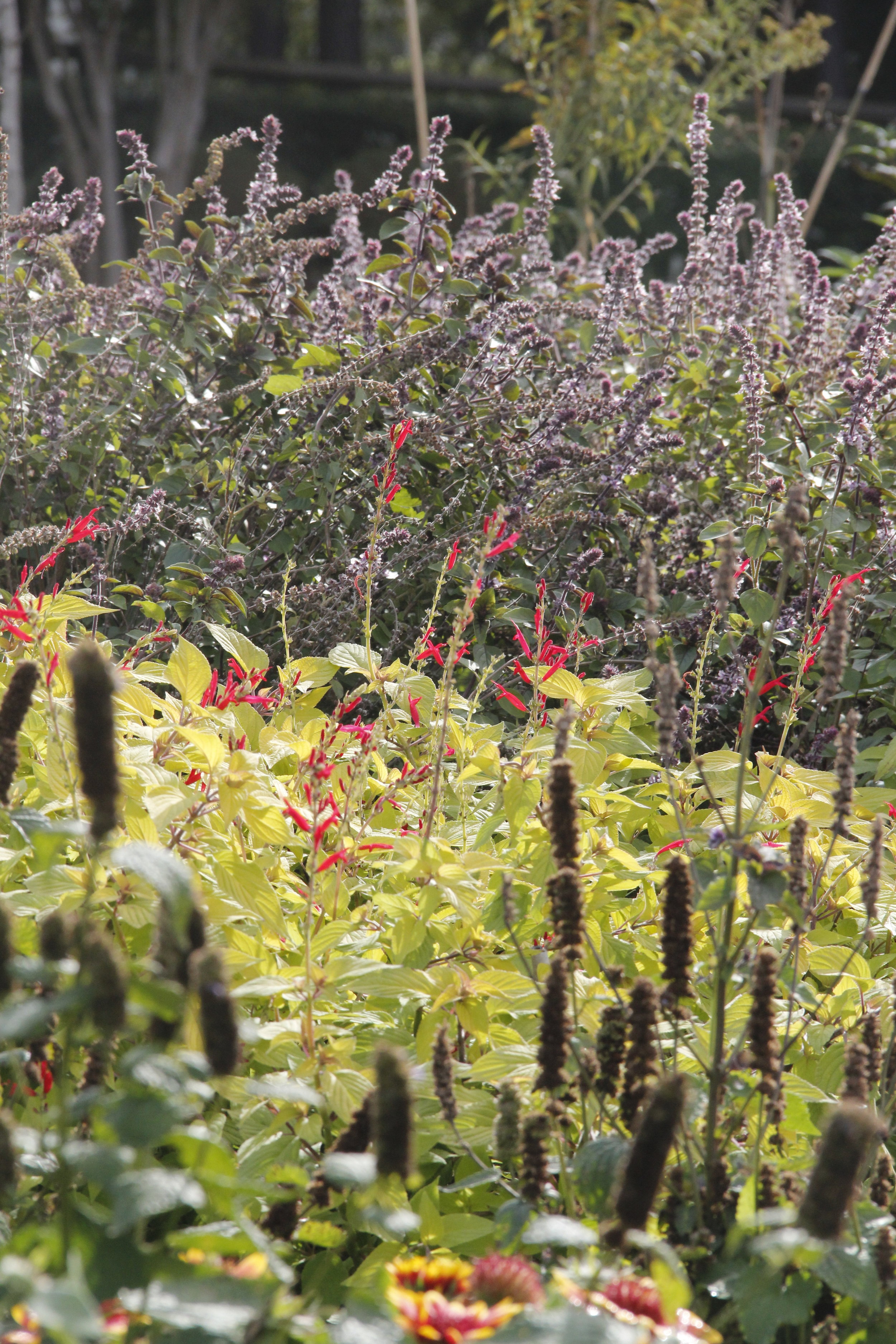 Bees Blog The Matthews Beacon Llc