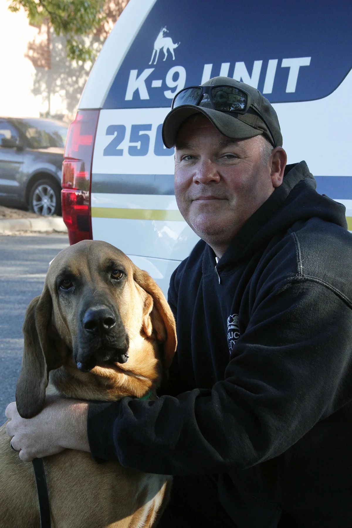 2 bloodhound matthews.jpg
