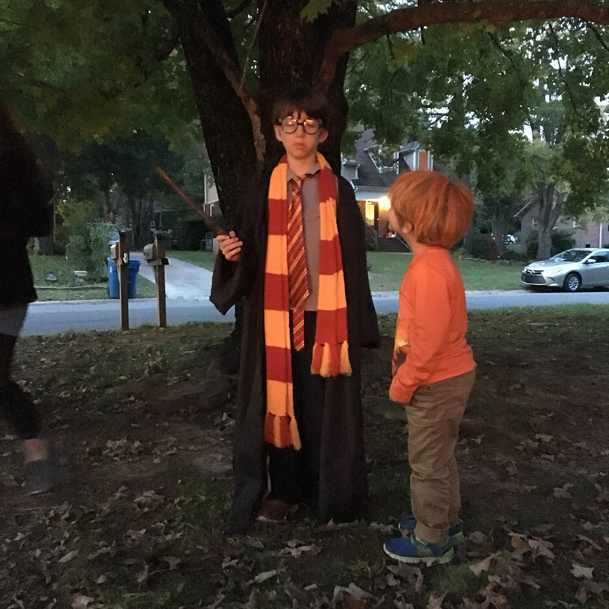 halloween harry.jpg