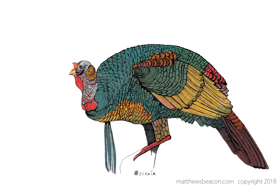 turkey.jpg