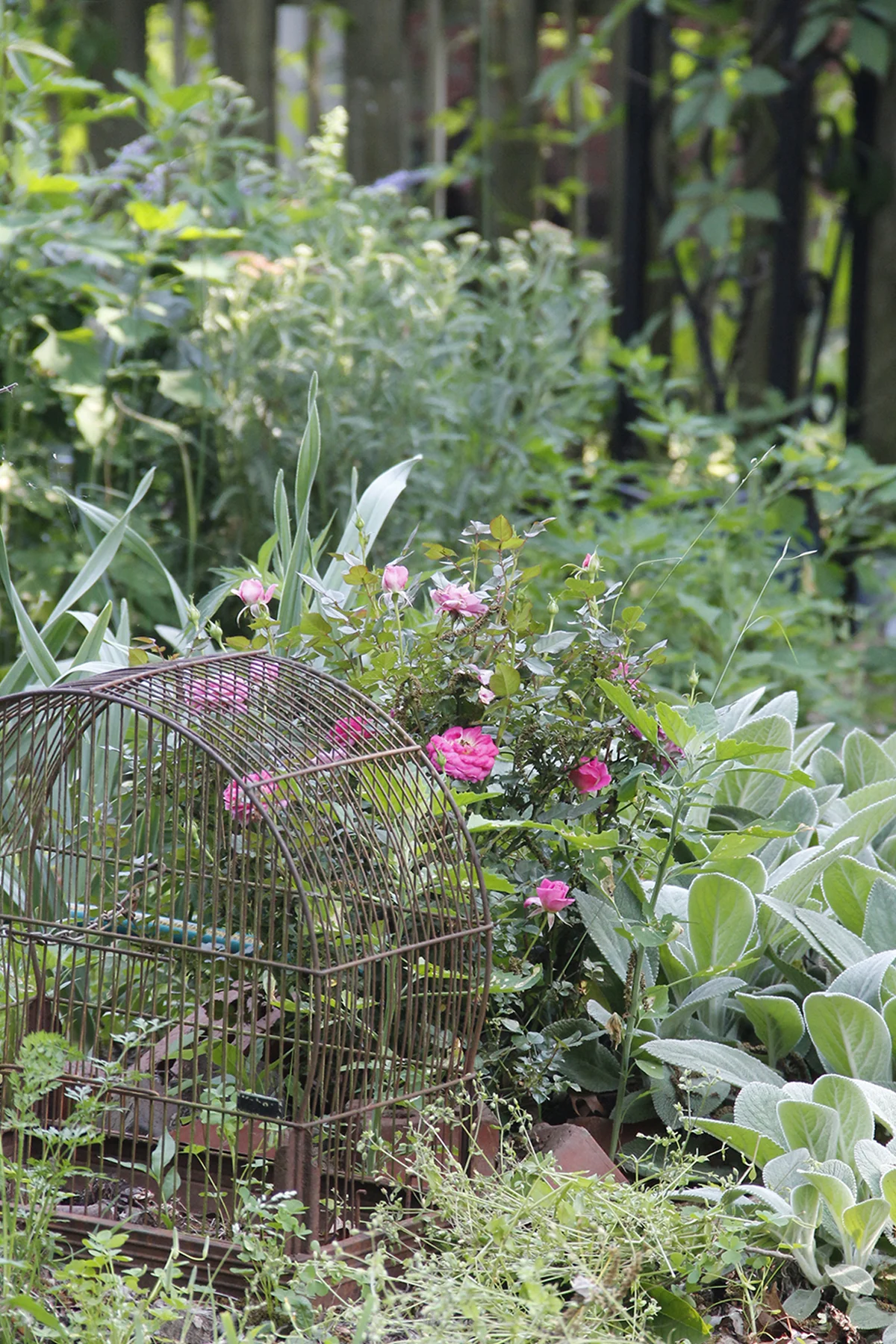 read a garden.jpg