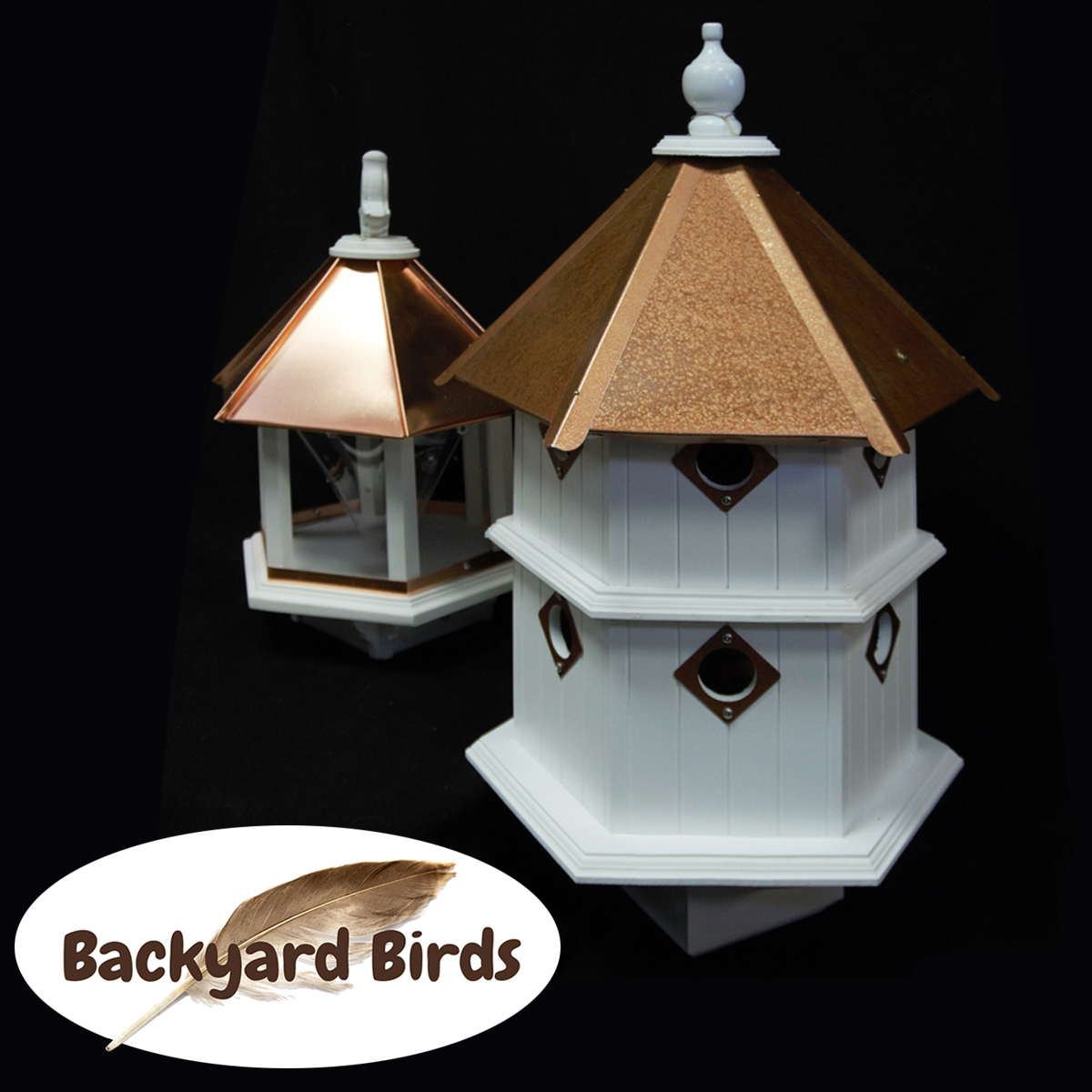 Backyards Birds