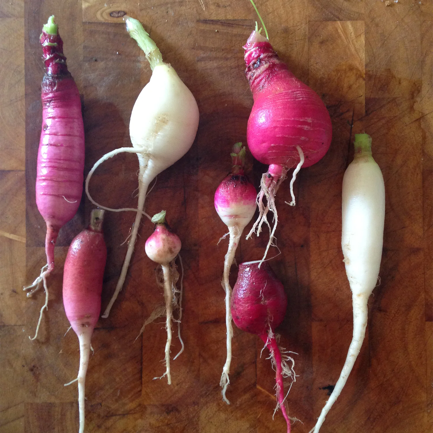 Matthews Community Farmers' Market