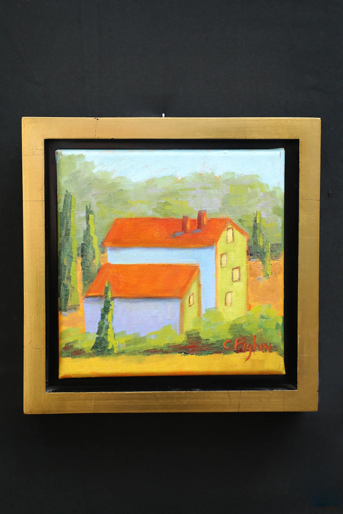 provence carol pighin.jpg