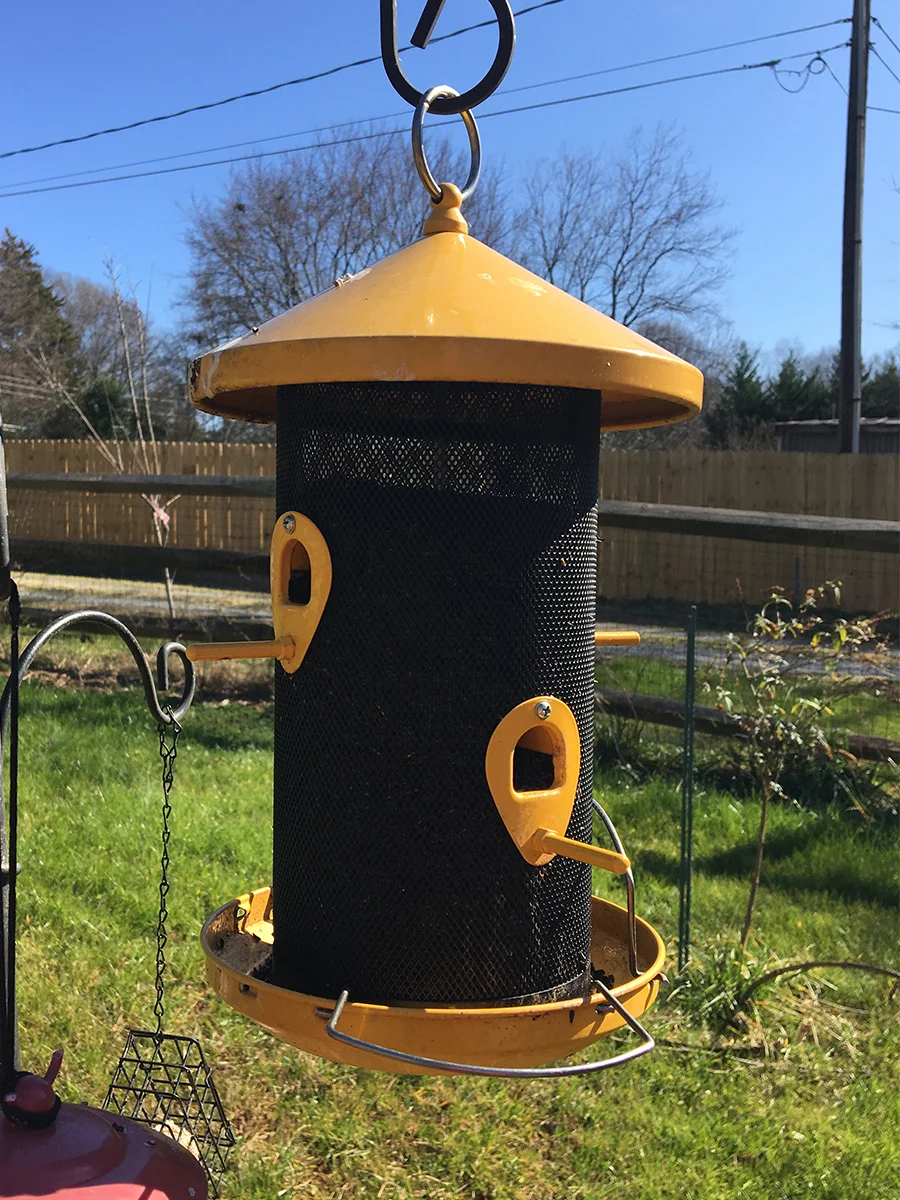 finch feeder.jpg