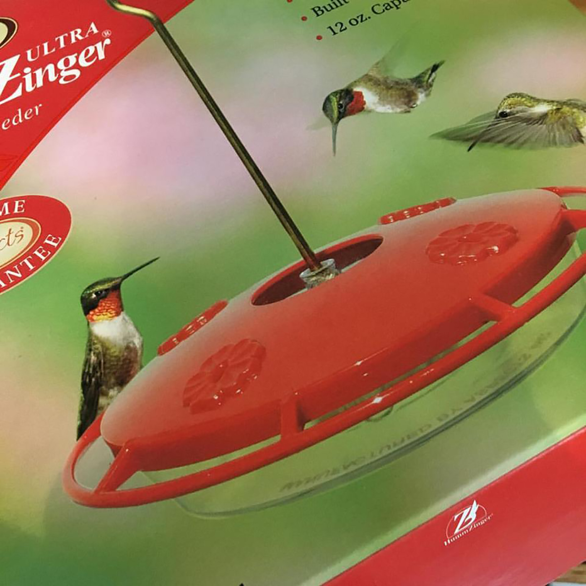 hummingbird feeder.jpg