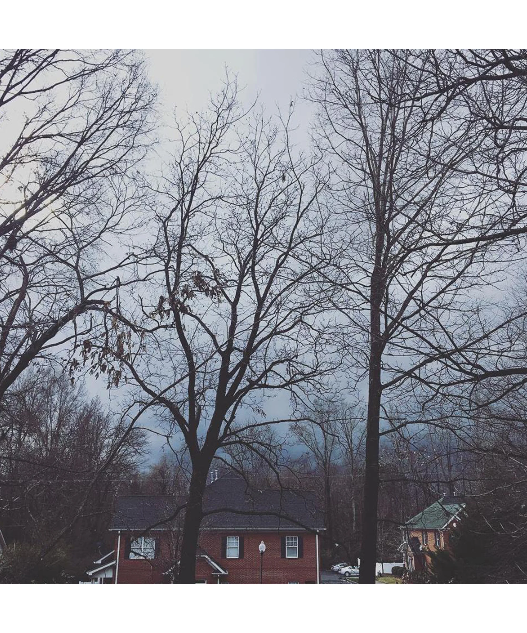 rain fiveforfriday.jpg