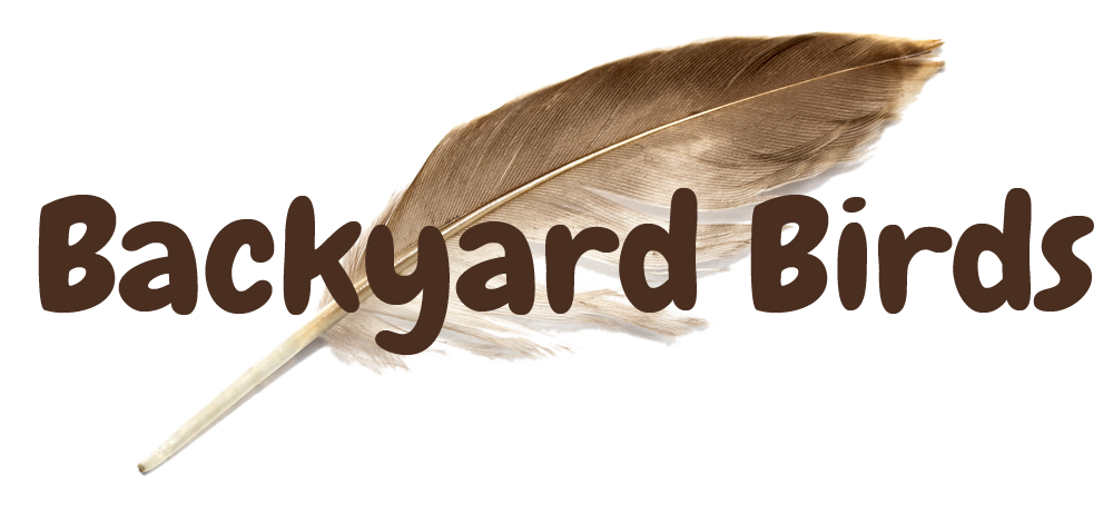 backyard_birds_300dpi_small.png
