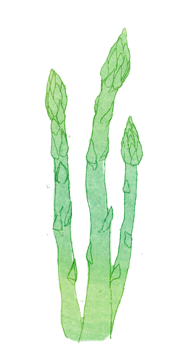 asparagus.jpg