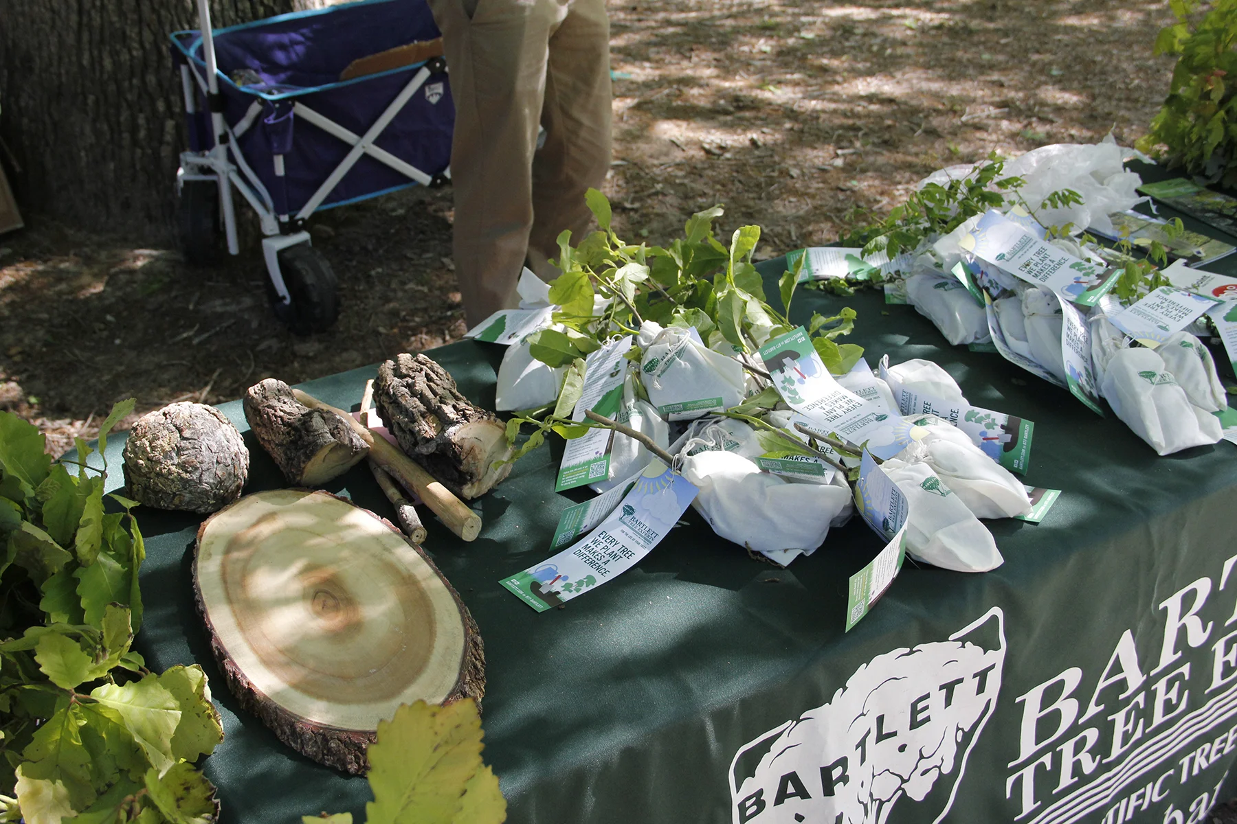 earth day kids in nature 5.jpg