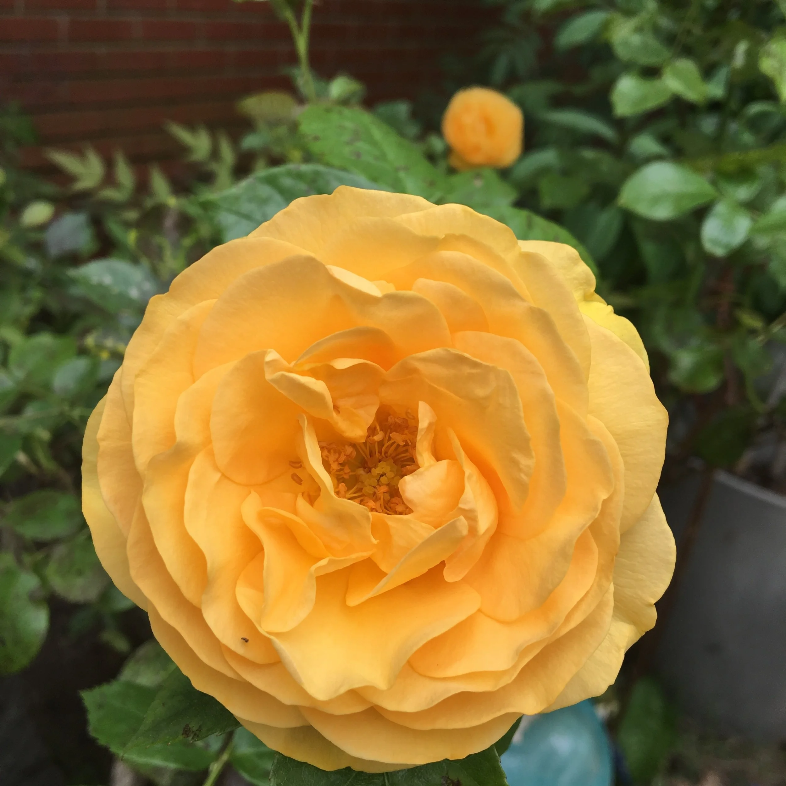 Morning Minute: Monday, May 6, 2019