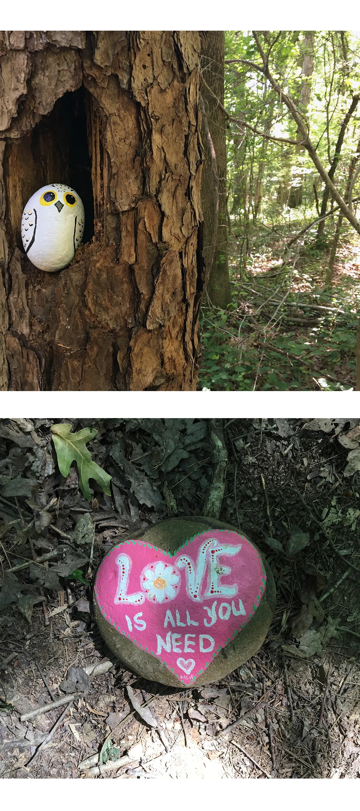 rocks park.jpg