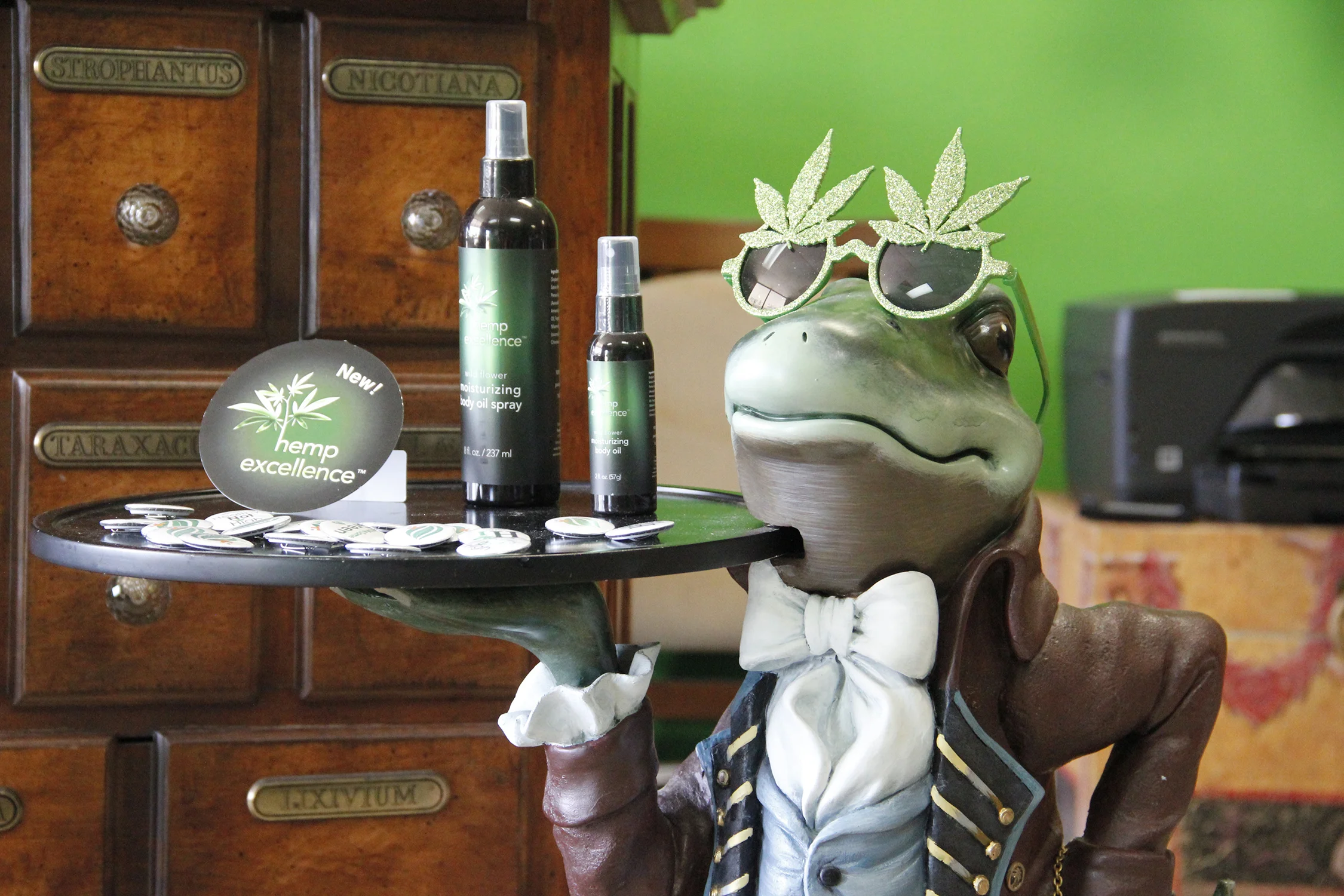 fred the frog.jpg