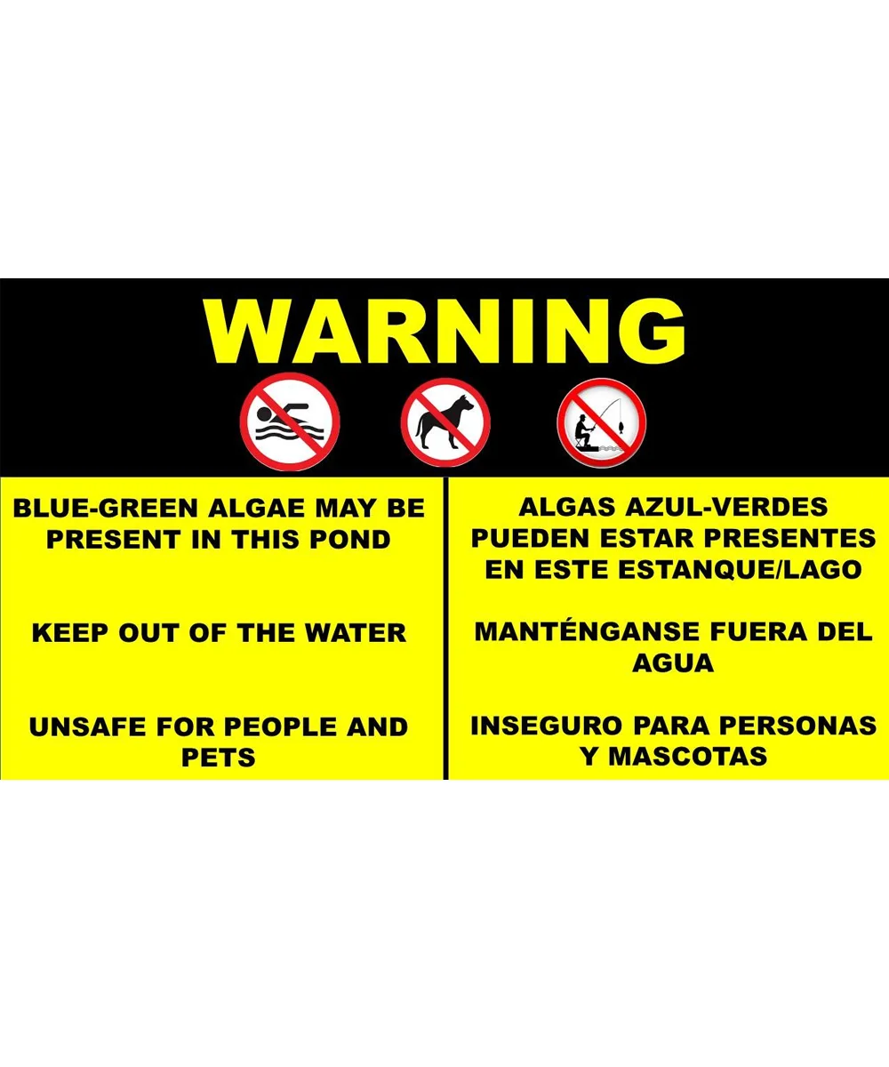 algae fiveforfriday.jpg