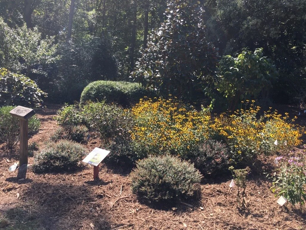 Native garden at Squirrel Lake Park maintained by HAWK (photo courtesy HAWK)