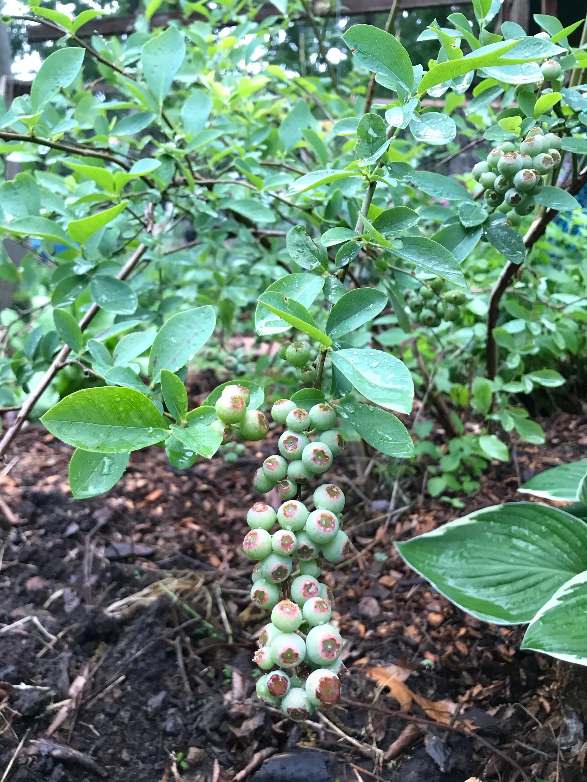 Morning Minute: Monday, June 22, 2020