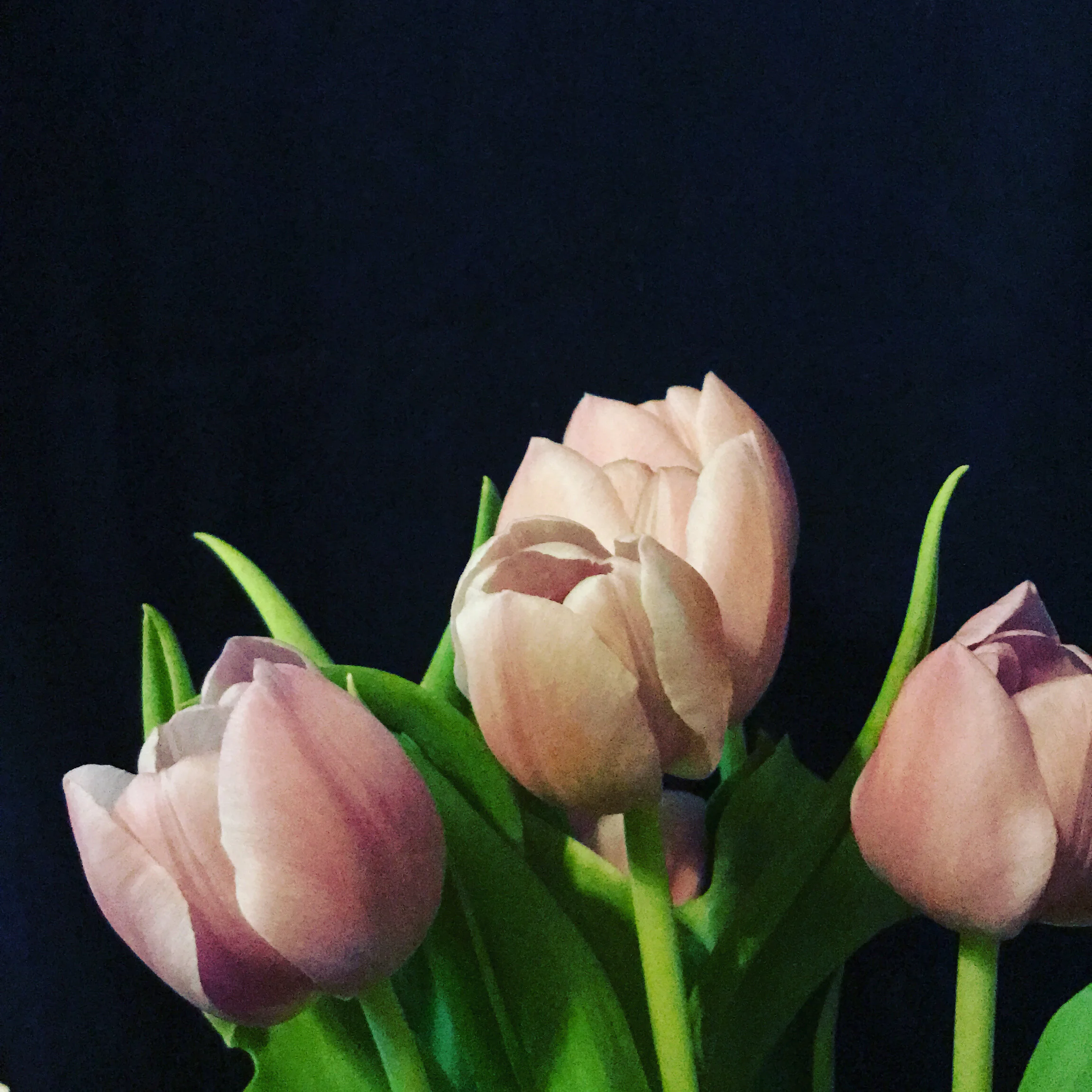 Morning Minute: Thursday, June 25, 2020