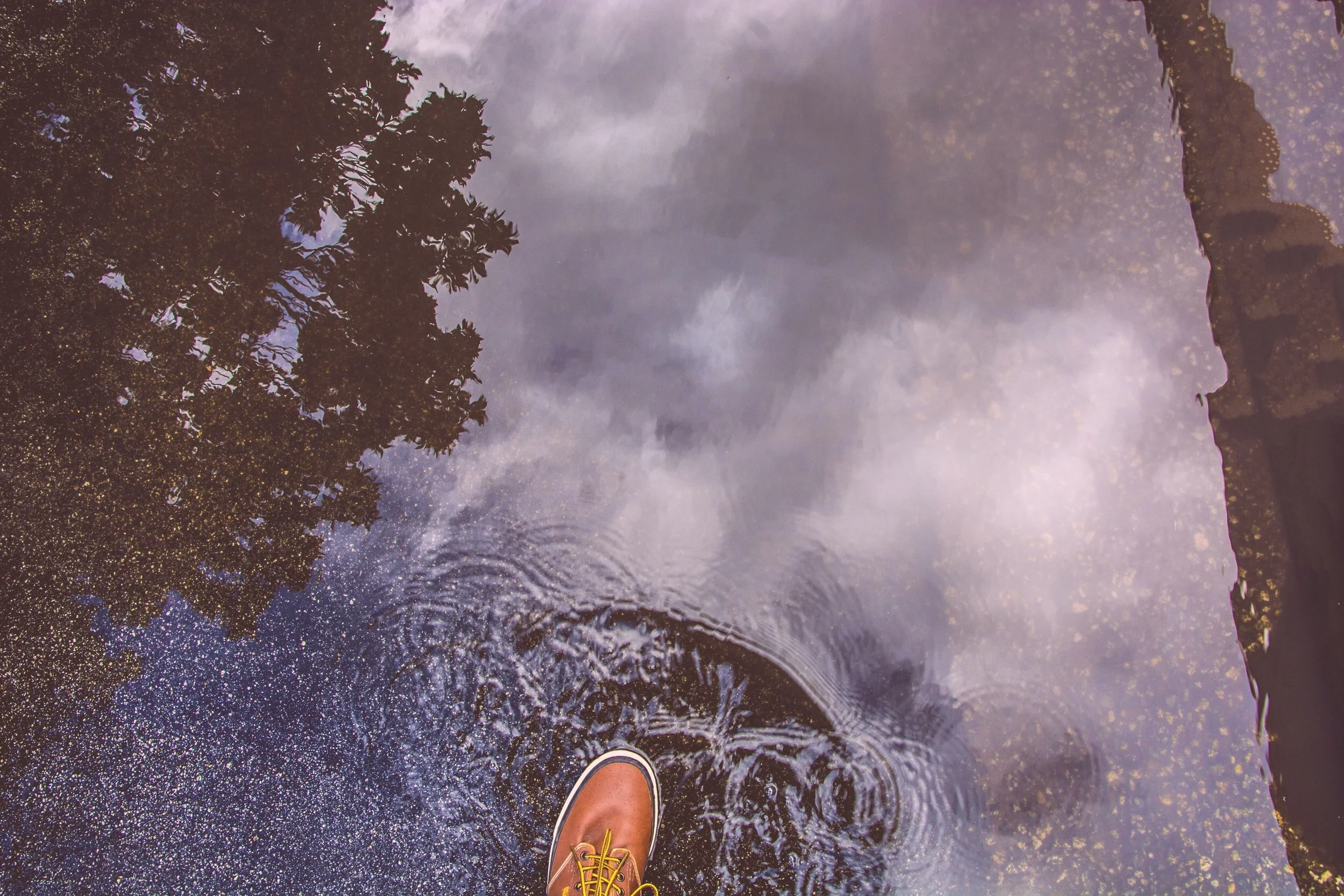 unsplash-image-nD8tjxDL5Bs.jpg