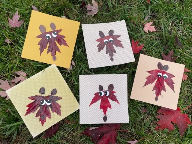 Kathy Bellavia Fall 2.jpeg