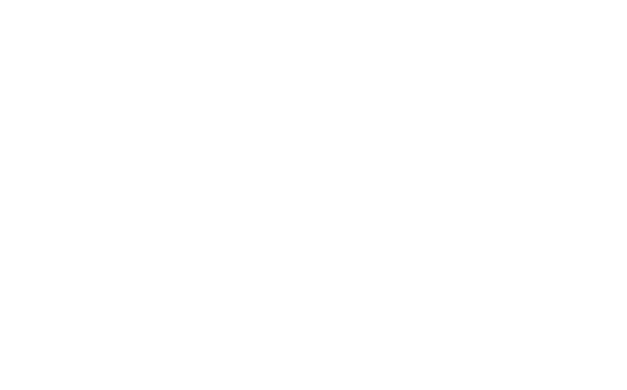 ssff_laurel_2019_Cinematic Winner (White).png