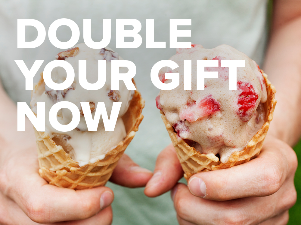 Community Foundation endowment challenge now open