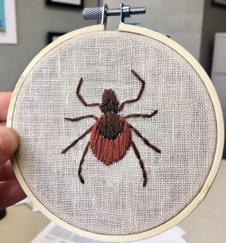 Credit to Shannon Allen for this super rad Ixodes scapularis cross-stitch