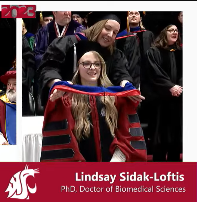 LSL hooding.png
